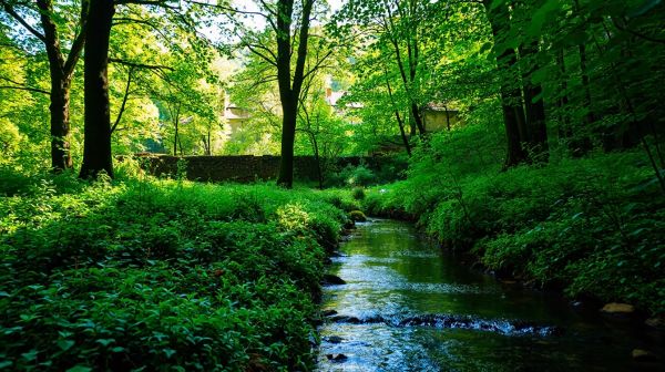 Top campings écolos près de Rocamadour pour vos vacances